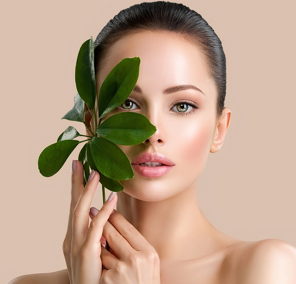 Dermatology model with leaf